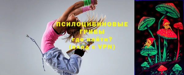 дмт Арсеньев