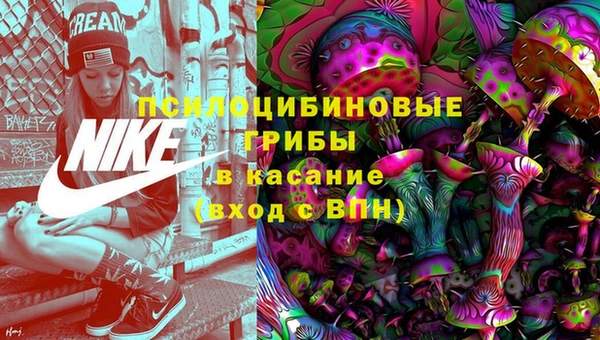 спайс Аркадак