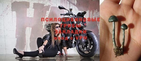 спайс Аркадак