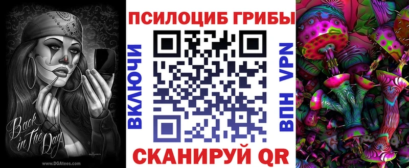 купить цена Стародуб Галлюциногенные грибы Magic Shrooms